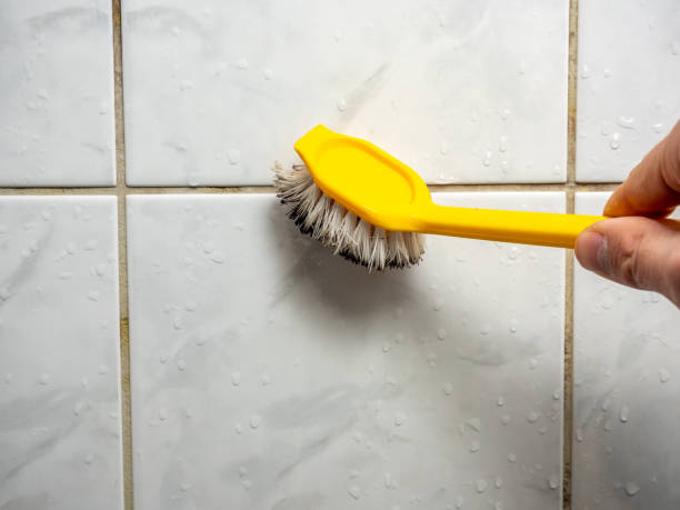 Best Emergency Mold Removal  in Star Valley, AZ