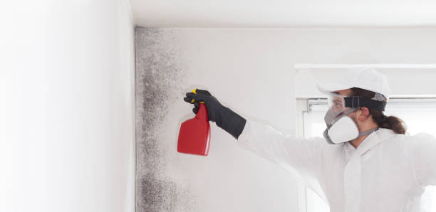 Best Crawl Space Mold Removal  in Star Valley, AZ